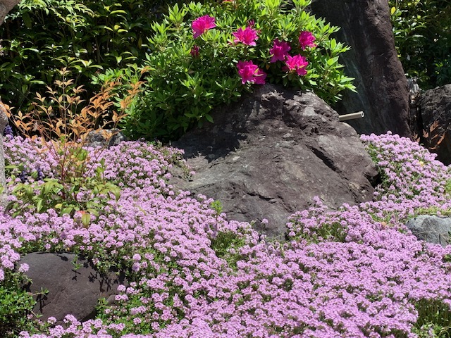 肩腕の痛み【漢方改善例】