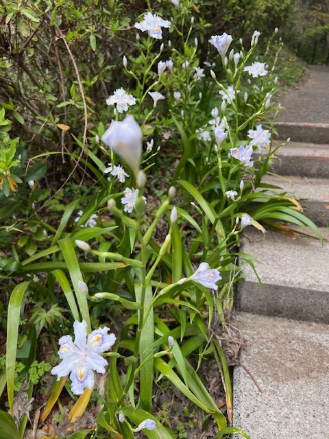 【妊娠＆出産報告】複数の子宮筋腫、多嚢胞性卵巣を乗り越え１０年目に妊娠