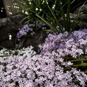 【妊娠＆出産報告】結婚8年目、待望の自然妊娠。続けて二人目も・・・