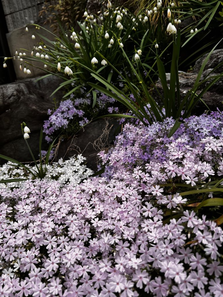 【妊娠＆出産報告】結婚8年目、待望の自然妊娠。続けて二人目も・・・